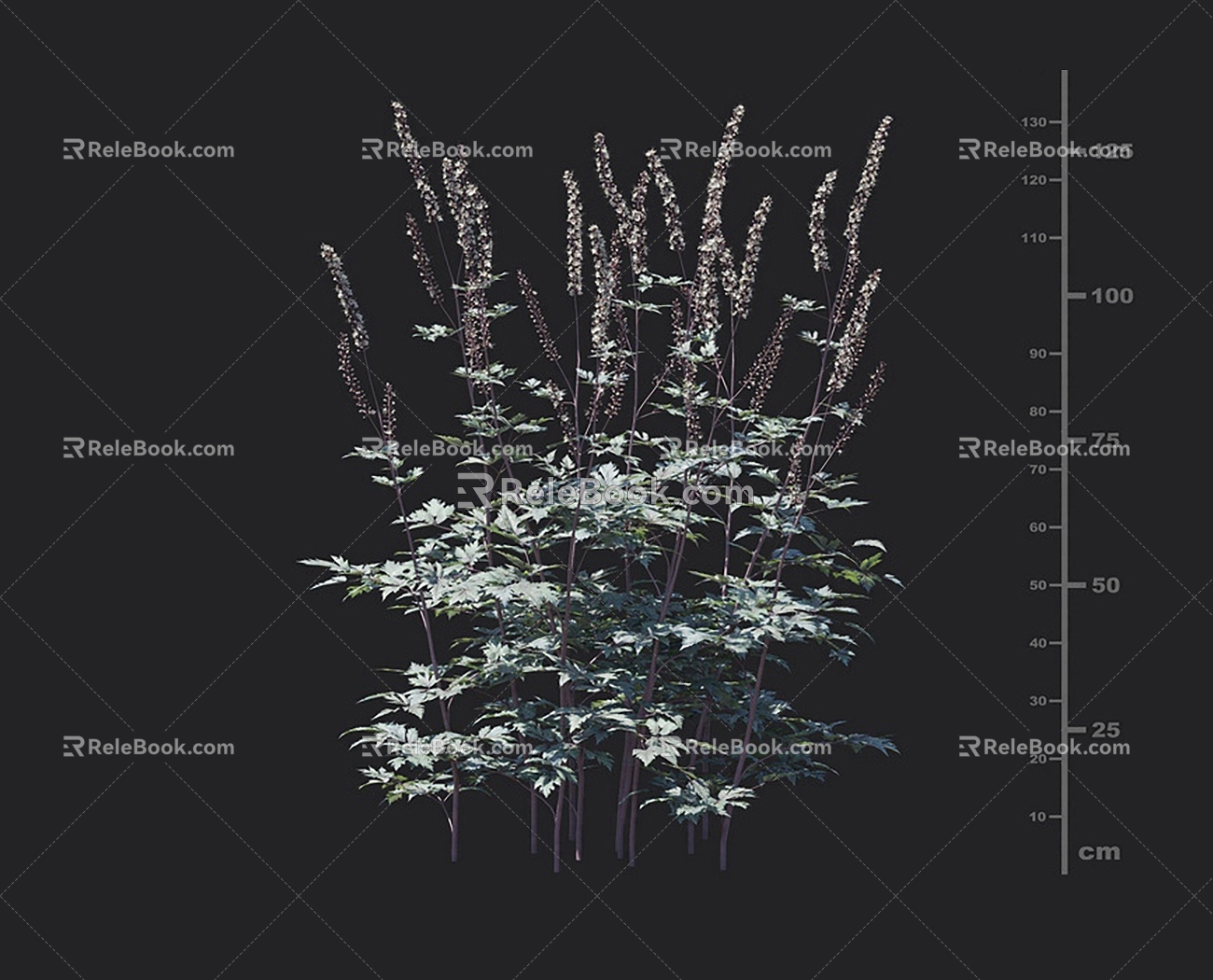 Grass 3d model