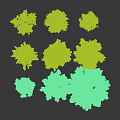 Various Green Bushes with Lush Foliage and Diverse Shapes for Landscaping