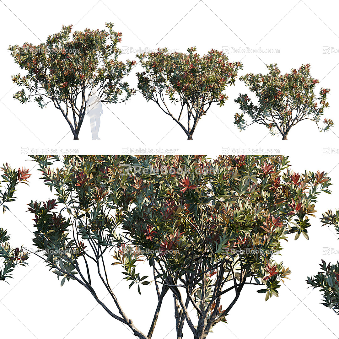 Modern Trees Trees 3d model