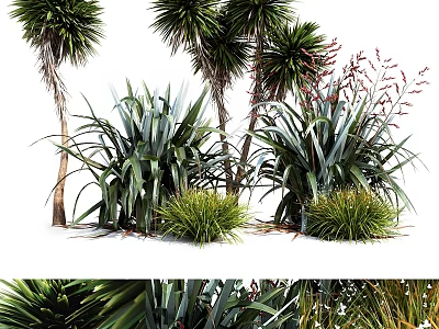 Natural Green Plant Ornamental Decoration Set With Palm Trees And Grass For Home Decor 3d model