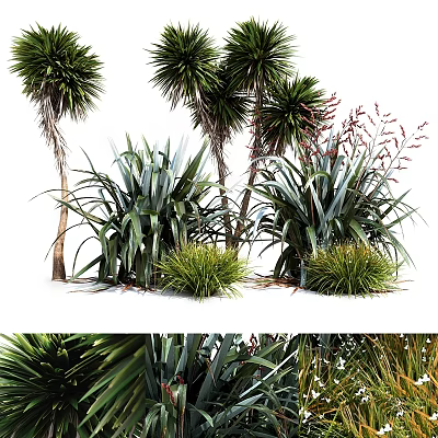 Natural Green Plant Ornamental Decoration Set With Palm Trees And Grass For Home Decor 3d model