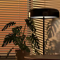 Dining Table with Sunset Light Large Window Blinds Armchair Plant Fruit Bowl and Rug