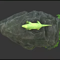 Green Lizard Perched On A Rocky Surface With Fresh Green Leaves