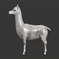 White Llama Full Body Standing Isolated On Dark Background With Shiny Reflection