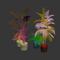 Indoor Houseplants Collection With Various Green Leafy Plants In Modern Planters