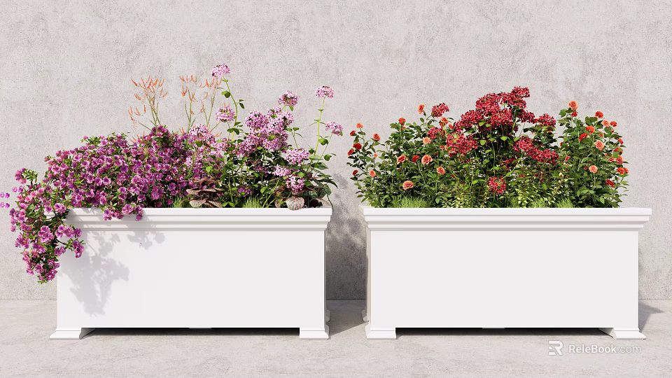 Potted Plants in White Planters with Colorful Purple Pink Red Orange Flowers against Gray Wall 3d model 
