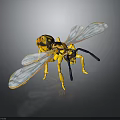 Detailed Yellow and Black Wasp Model With Blue Transparent Wings Isolated on Dark Background