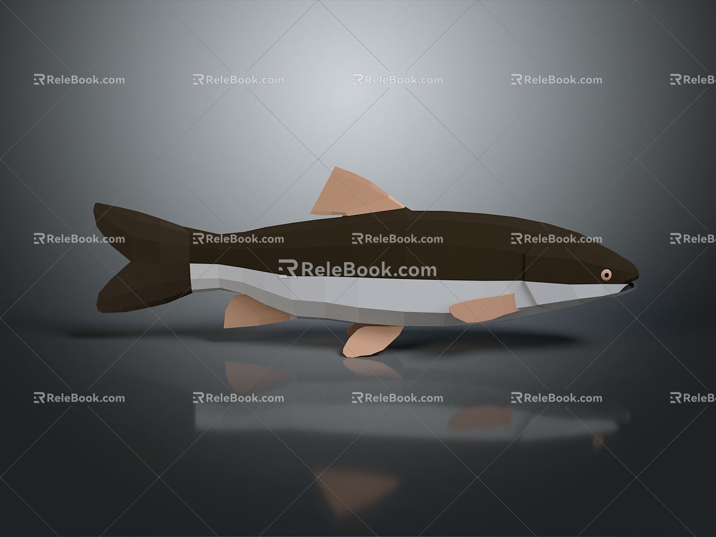 Catfish Carp Sturgeon Bass Freshwater Fish Various Carp Grass Carp Crucian Carp 3d model