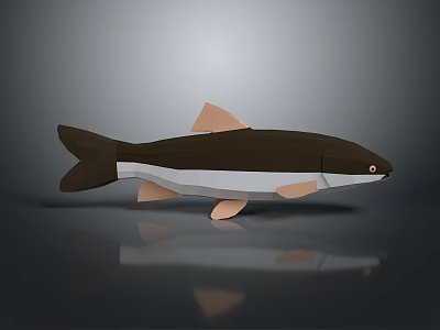 Catfish Carp Sturgeon Bass Freshwater Fish Various Carp Grass Carp Crucian Carp 3d model
