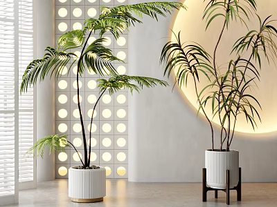 Indoor Potted Tropical Plants In White Ceramic Pots With Circular Light And Grid Wall 3d model
