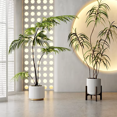 Indoor Potted Tropical Plants In White Ceramic Pots With Circular Light And Grid Wall 3d model
