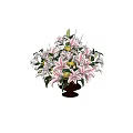 Beautiful Pink And White Lilies In Brown Vase With Green Leaves