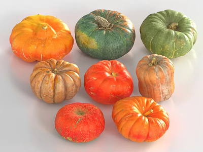 Assorted Fresh Vegetable Pumpkins Displaying Various Colors Shapes On White Background 3d model