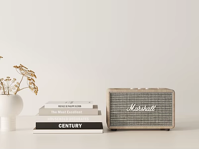 Stylish Decorative Ornament Set With White Vase Dried Flowers Books And Marshall Speaker 3d model