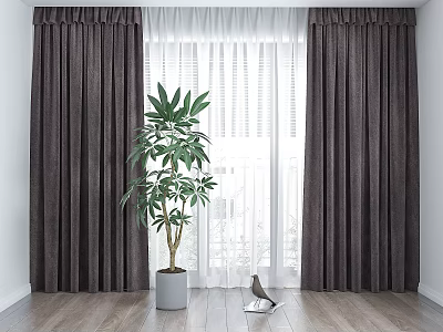 Dark Curtains With White Sheer Curtains Green Plant In Gray Pot On Wooden Floor 3d model