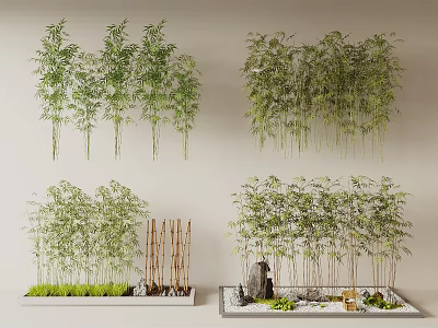 Various Bamboo Plant Types in Potted Decorative Arrangements with Stones and Lush Green Foliage 3d model