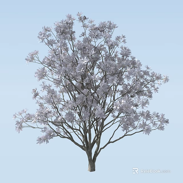 Tall Blossoming Arbor With Abundant White Flowers Against Clear Light Blue Sky 3d model 