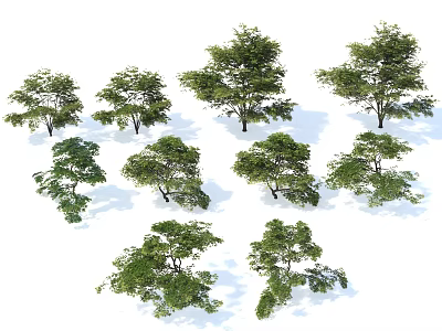 Diverse Arbor Trees Collection With Various Shapes And Lush Green Foliage 3d model