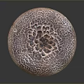 Fresh Natural Round Edible Mushroom With Brown And White Patterned Surface