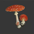 Red White Spotted Vegetable Mushrooms with Different Sizes on Dark Background 3d model