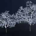 Three Snow Covered Arbor Trees Against Dark Background In Winter Scene 3d model