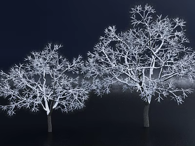 Three Snow Covered Arbor Trees Against Dark Background In Winter Scene 3d model