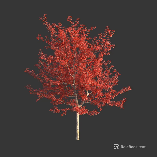 Arbor With Red Leaves And Vibrant Foliage Against Dark Background 3d model 