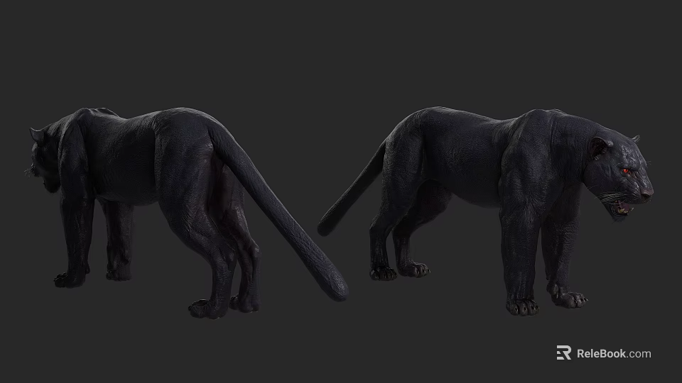Black Reptile Pair Showcasing Detailed Body Structure On Dark Background 3d model 
