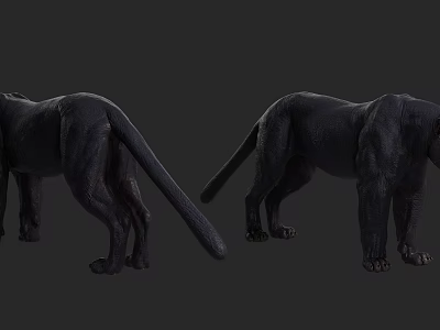 Black Reptile Pair Showcasing Detailed Body Structure On Dark Background 3d model