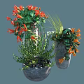 Various Potted Plants With Red Flowers Green Leaves And Orange Blooms In Gray Pots