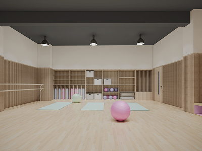 Modern Yoga Room Rhythmic Gymnastics Room model