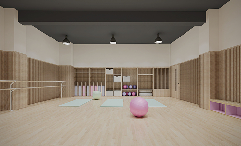 Modern Yoga Room Rhythmic Gymnastics Room 3d model