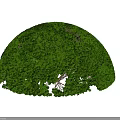 Two Round Dome Shaped Lush Green Bushes With Dense Foliage 3d model