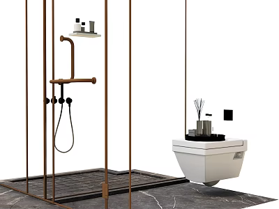 Wall Hung Toilet In Modern Bathroom With Bronze Shower Fixture And Marble Floor 3d model