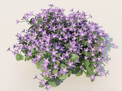 Vibrant Purple Flowers With Green Leaves In Lush Blooming Cluster For Garden 3d model