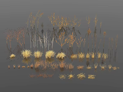 Diverse Grasses And Herbaceous Plants With Various Heights And Yellow Brown Tones For Landscaping Design 3d model