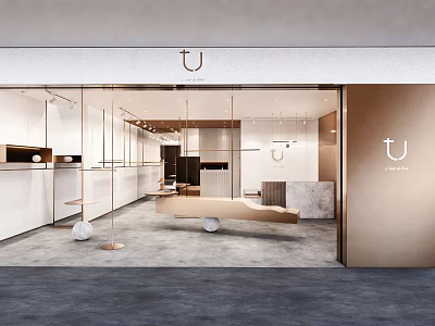Modern Minimalist Clothing Store Interior With Glass Front Display Racks And Elegant Tones 3d model