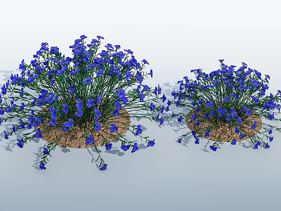 modern plants 3d model