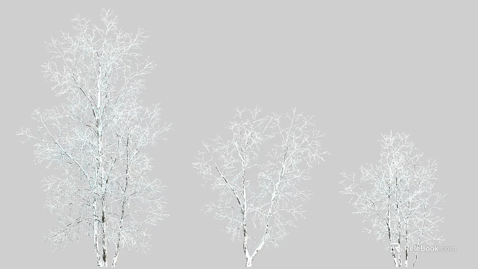 Three Snow Covered Bare Trees Standing Tall Against Gray Winter Background 3d model 
