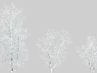 Three Snow Covered Bare Trees Standing Tall Against Gray Winter Background 3d model