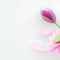 Modern Lotus Summer Lotus 3d model