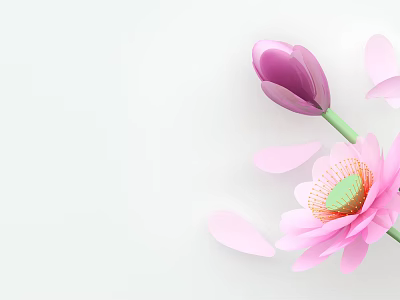 Pink Lotus and Purple Tulip with Scattered Pink Petals on White Background 3d model