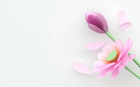 Modern Lotus Summer Lotus 3d model
