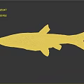 Shiny Brown Fish With Natural Scales Isolated On Gray Background