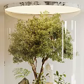 Elegant Indoor Landscape In Transparent Cylindrical Glass Container With Green Tree Ferns Rocks And Lighting