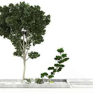 Modern Tree Plant Green Tree 3d model