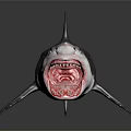 Great White Shark Aquatic Animal With Open Mouth Sharp Teeth Dark Background And Reflective Surface