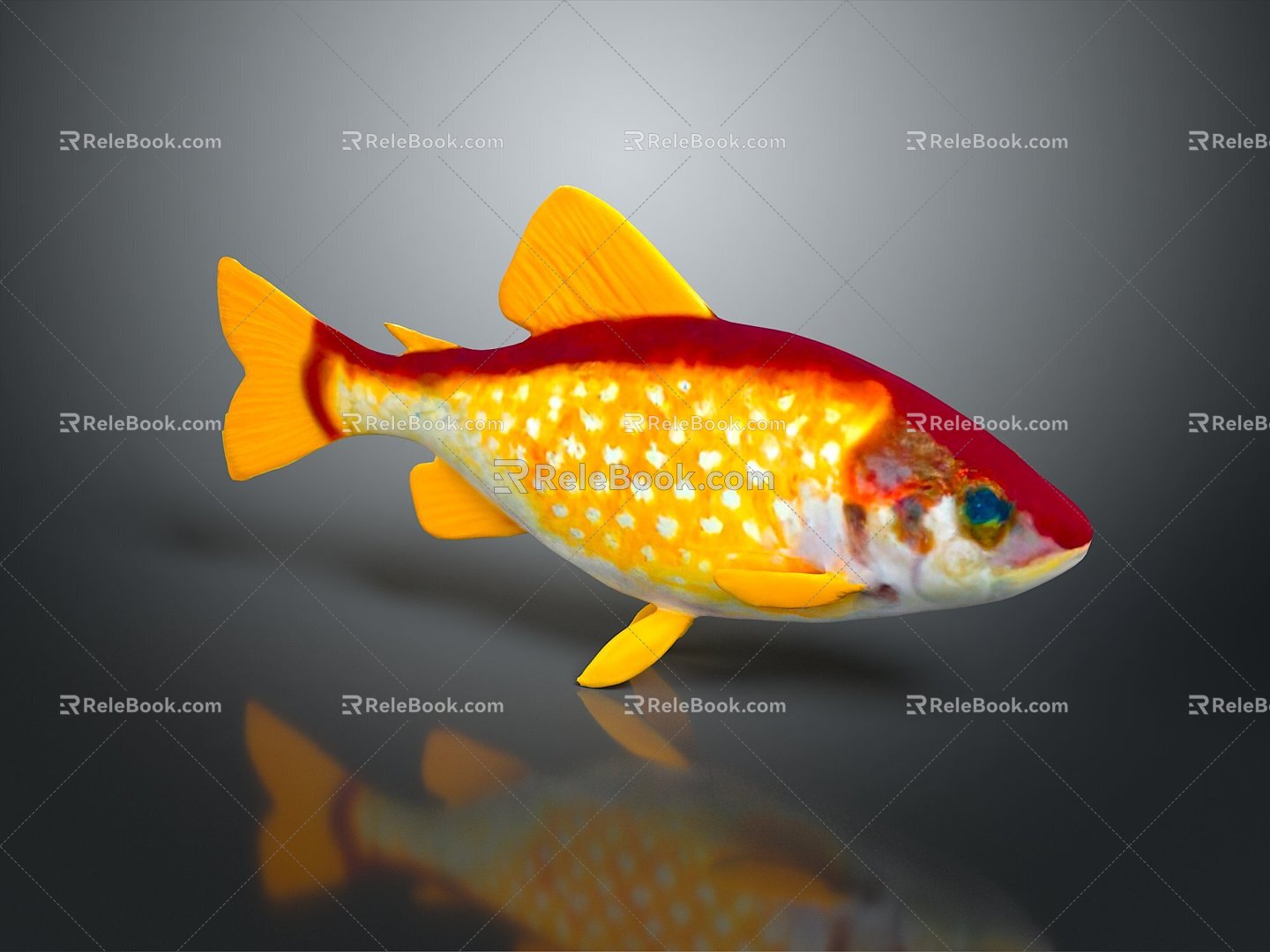 Fish Freshwater Fish Sea Fish Animal Game Animal Cartoon Animal Realistic Animal 3d model