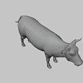 Brown And White Cow With Horns Standing On Gray Background