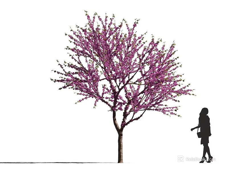 Blooming Arbor With Purple Flowers And Woman Silhouette In Outdoor View 3d model 